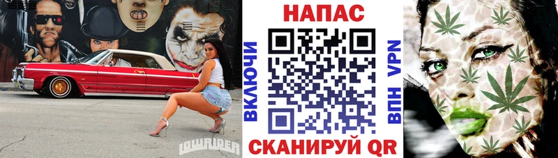 Конопля семена  Калач-на-Дону 